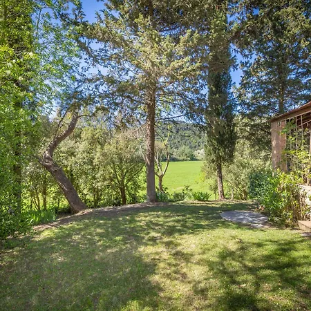 Il Salice-5 By Interhome Apartment Montescudaio